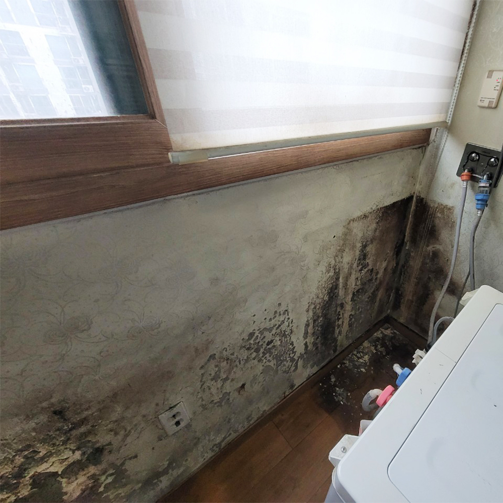 서울경기 수도권 본사 시공사례 5