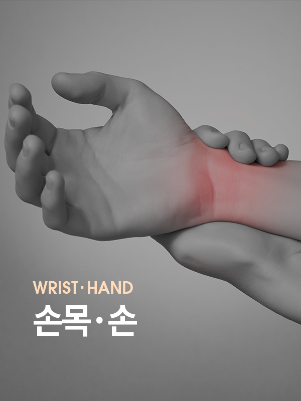 손목·손