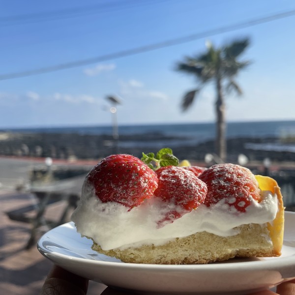 [제주 서귀포] cafeEDC