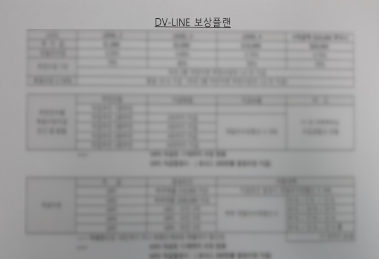 DV-LINE 보상플랜