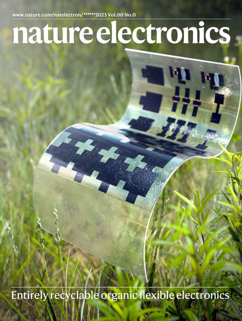 Nature Electronics : Publishing News