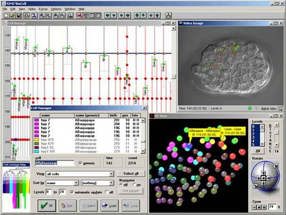 Cell research software Simi BioCell (Multichannel 4D-microscope system ...