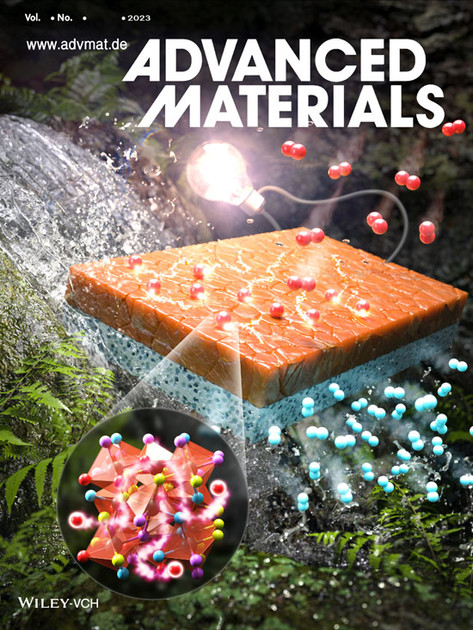 Wiley_ADVANCED MATERIALS : Publishing News