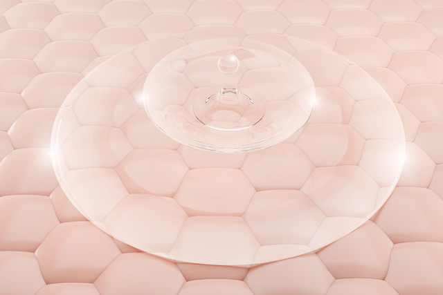 시그니처 깐달걀 피부
