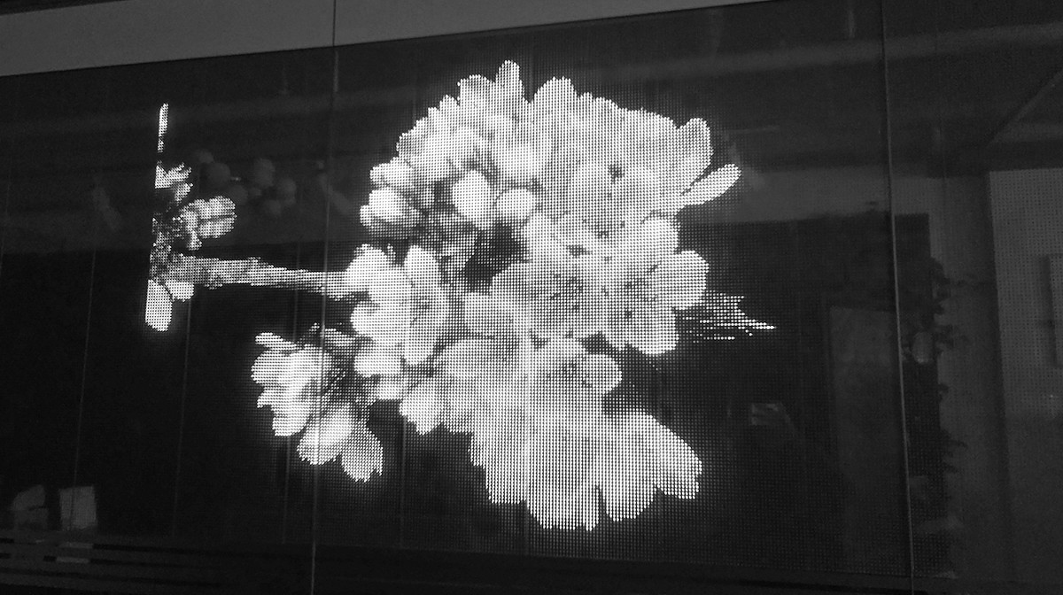 <b>투명형<br>(크리스탈)</b>