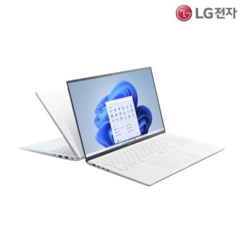 LG 17인치 그램