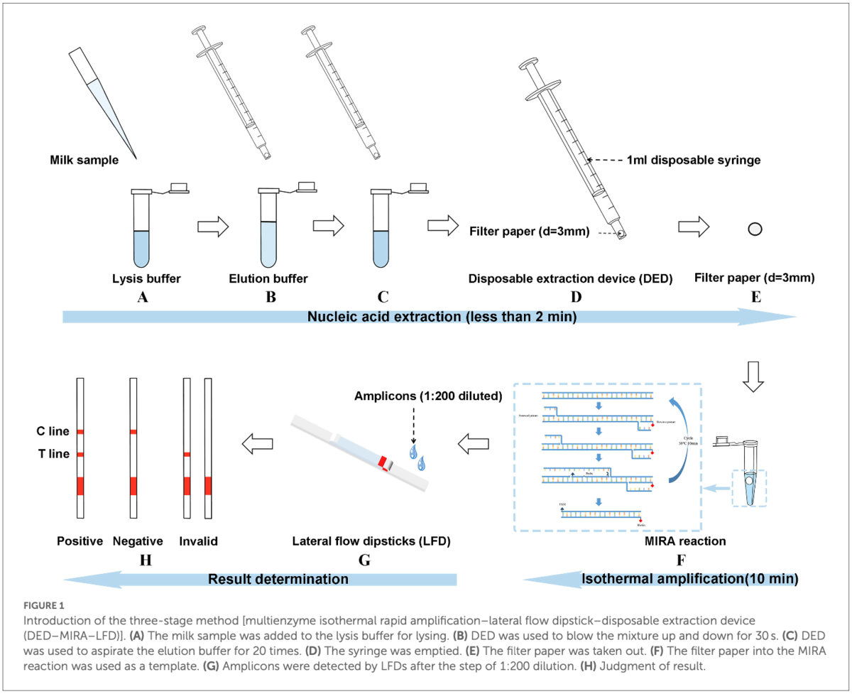 Integrating filter paper extraction, MIRA-LFD methods to detect ...