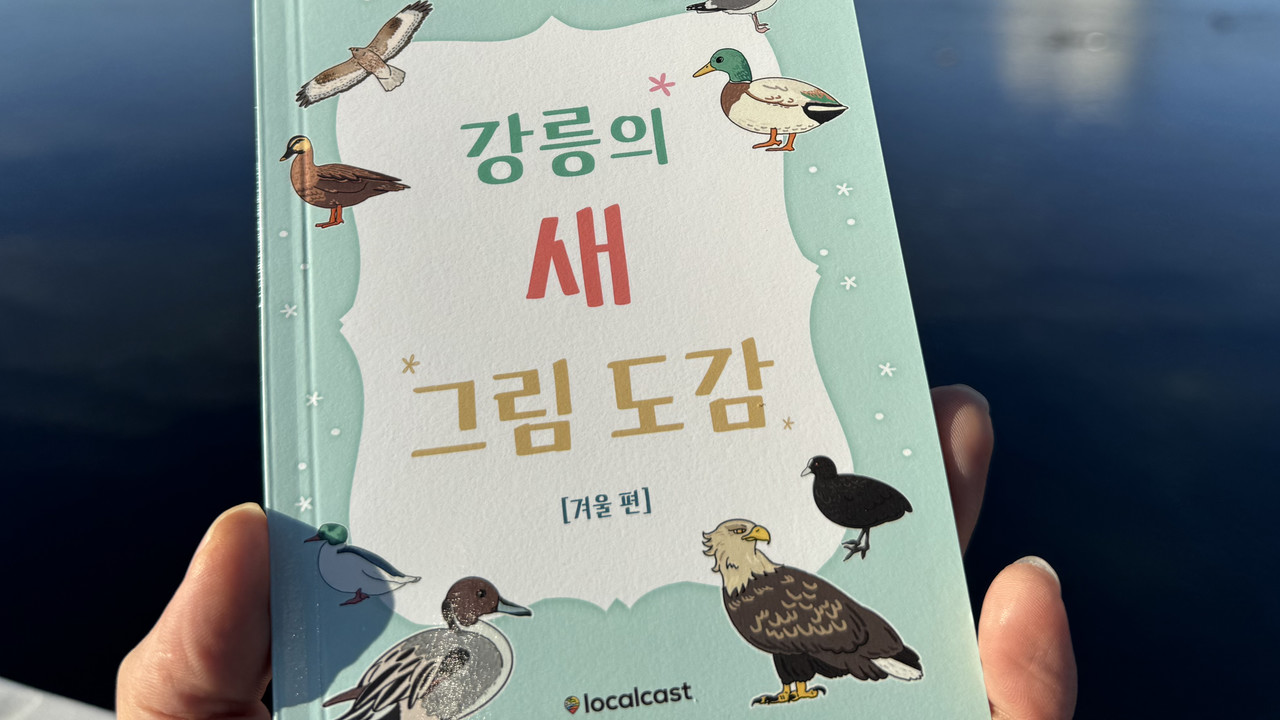 2023 강릉의 새 그림 도감 [겨울 편] 제작