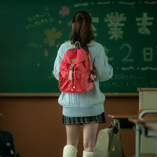 二次再入荷完] DAYLIFE NON PLOT BACKPACK (PINK) : デイライフ