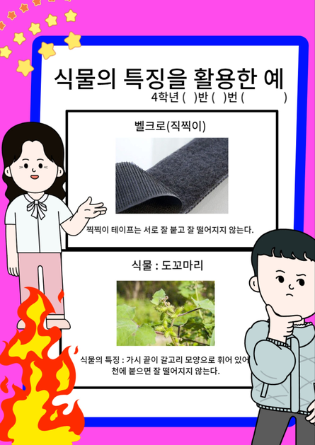 식물의 특징을 생활 속에서 활용한 예 표현하기 : 초등학교 - 교육용 활용사례