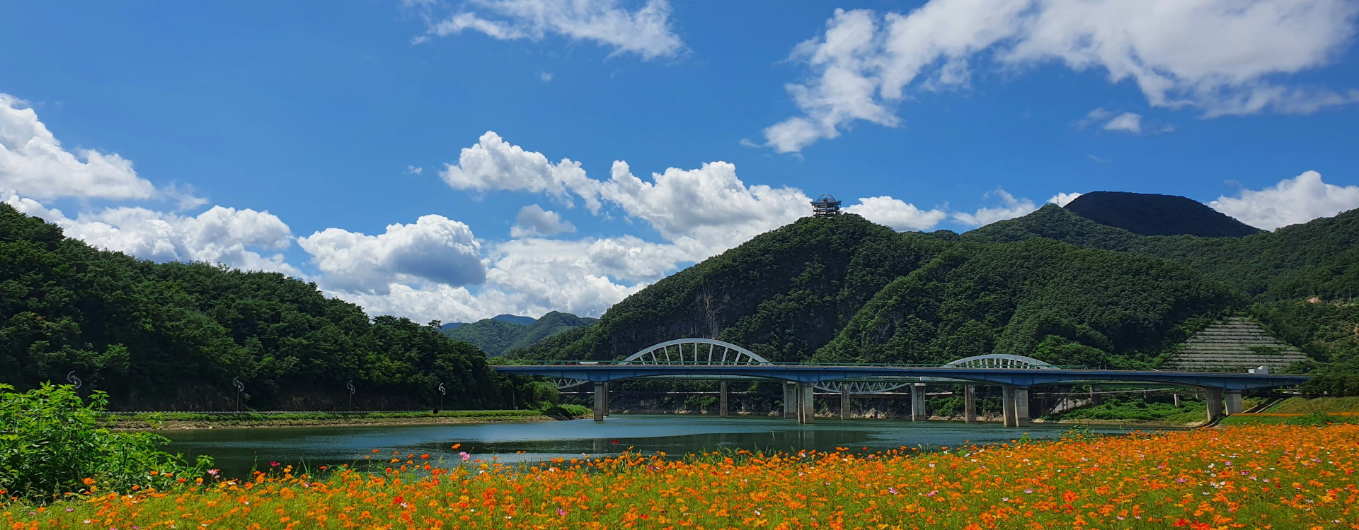 <b>충주/단양/제천</b>