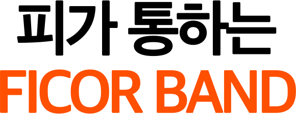 피코밴드 피코코리아
