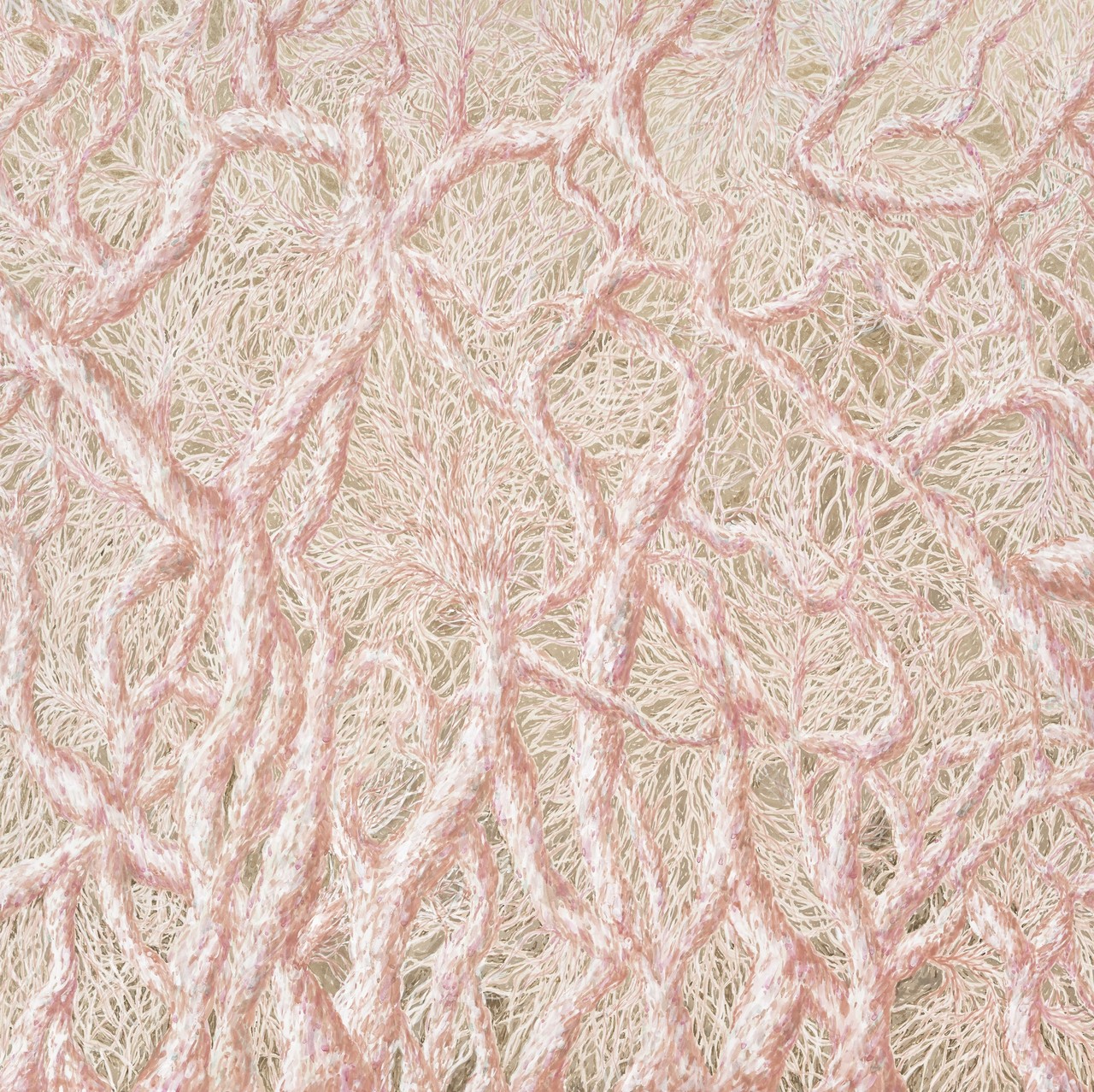 살색 뿌리, 뿌리색 살(Skin-colored roots, root-colored skin), 2024, 장지에 분채, 호분 (Pigment powder, white pigment powder on Korean paper), 80 × 80 cm
