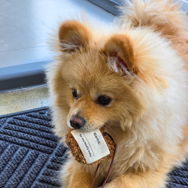 [강원 원주] 품다