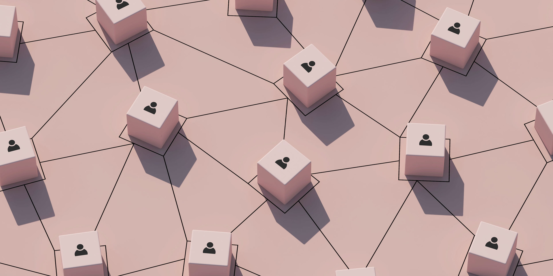 Connect