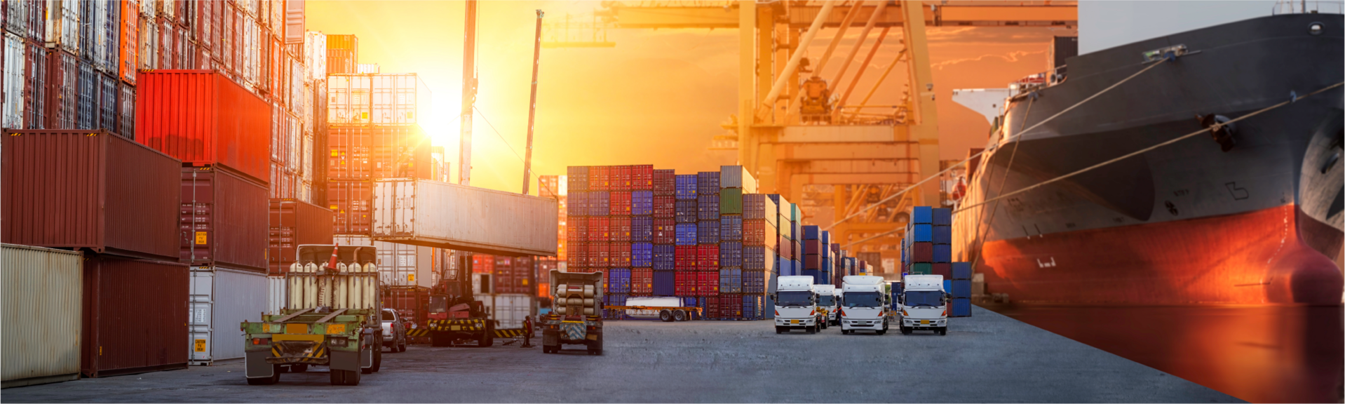 <strong>Export/import distribution organization</strong><p>[ Wholesale/retail in and outside Korea ]