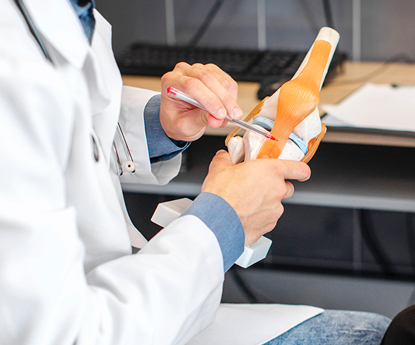 <span style="background-color: #f4f4f4;display:block;padding:14px 0;"><b>접골 한약</b></span>