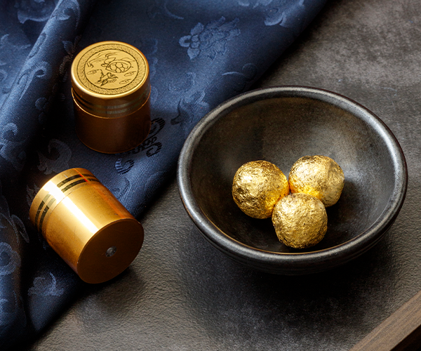 <span style="background-color: #f4f4f4;display:block;padding:14px 0;"><b>공진단</b></span>