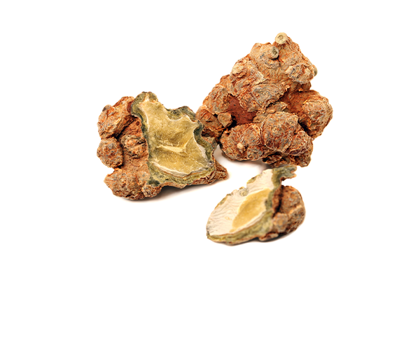 <span style="background-color: #f4f4f4;display:block;padding:14px 0;"><b>삼칠</b></span>