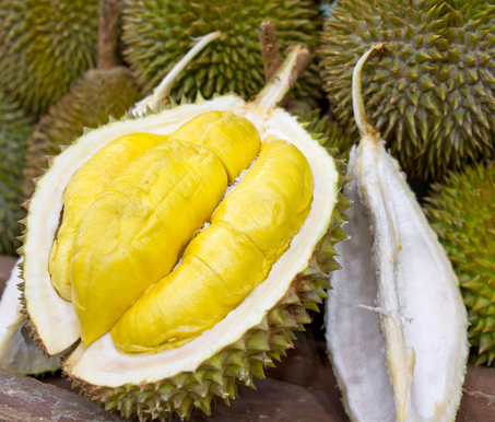 <h5 style="margin-left:10px">Durian</h5>