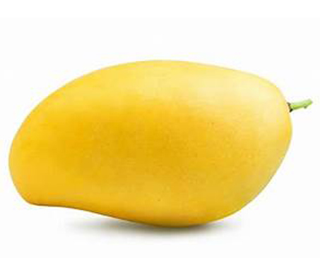 <h5 style="margin-left:10px">Mango</h5>