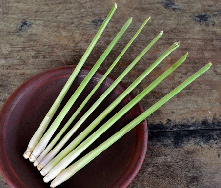 <h5 style="margin-left:10px">LemonGrass</h5>