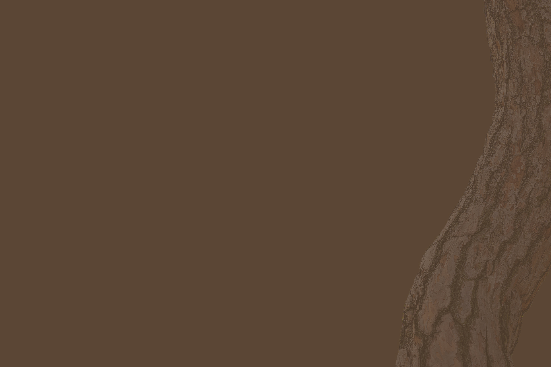 mobile background
