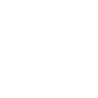 HANKOOK OLIVE