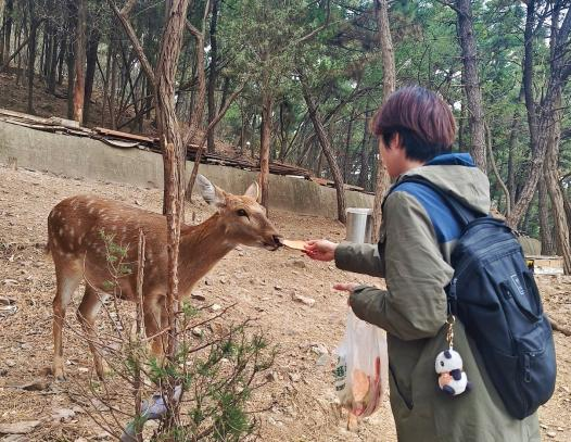 현지인 수업