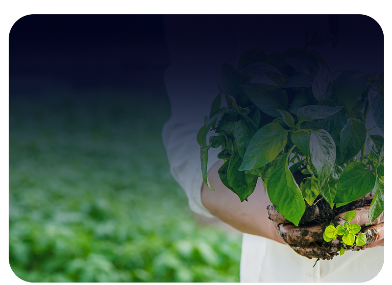 <table style="width: 100%;"> 	<tbody> 		<tr> 			<td style="width: 3.7484%;"> 				<br> 			</td> 			<td style="width: 96.1496%;">  				<h5><span style="color: rgb(0, 184, 255);"><strong><span style="font-size: 20px;">+</span></strong></span></h5><strong><span style="color: rgb(255, 255, 255); font-size: 24px; line-height: 1;">Microbial-based&nbsp;</span></strong> 				<br><strong><span style="color: rgb(255, 255, 255); font-size: 24px; line-height: 1;">Biological Pesticides&nbsp;</span></strong> 				<br> 			</td> 		</tr> 		<tr> 			<td style="width: 3.7484%;"> 				<br> 			</td> 			<td style="width: 96.1496%;">  				<h5 style="line-height: 2;"> 					<br> 				</h5>  				<p> 					<br> 				</p>  				<p><span style="font-size: 22px;"><strong><br></strong></span></p> 			</td> 		</tr> 	</tbody> </table>