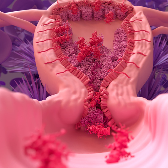 정상 월경주기 회복