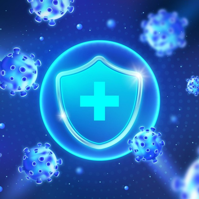 호르몬 불균형 안정화