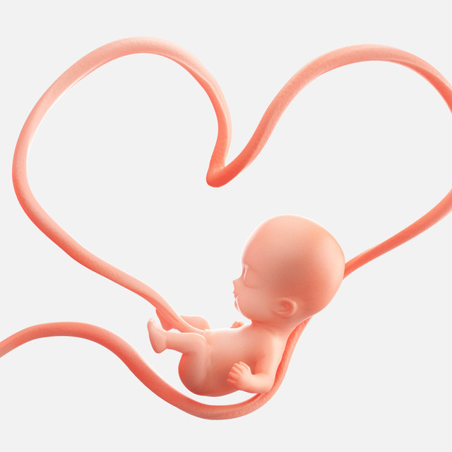 배아의 착상환경 조성