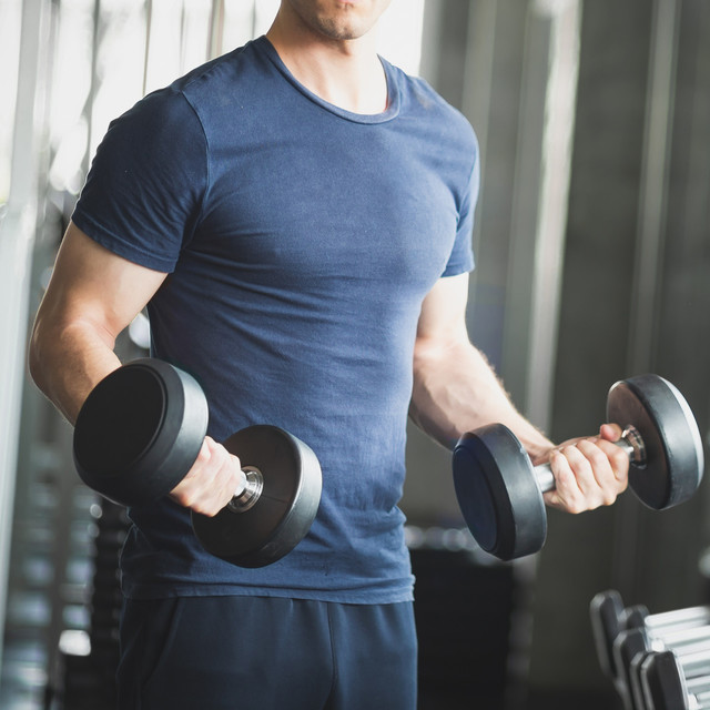 정력 및 체력 증강