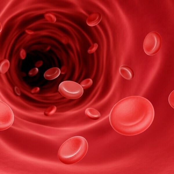 골반강 혈액순환 증강