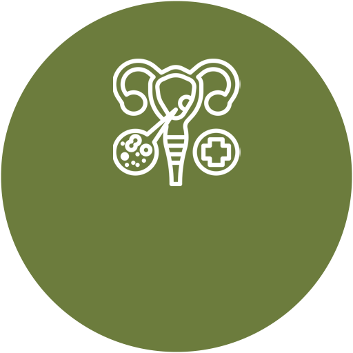 <p class="circle-title" style="margin-bottom:43px;">자궁질환 치료</p>