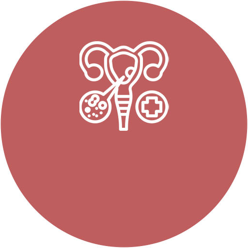 <p class="circle-title" style="margin-bottom:33px; line-height:1.5;">자궁근종 / 자궁선근증<br>자궁내막증</p>