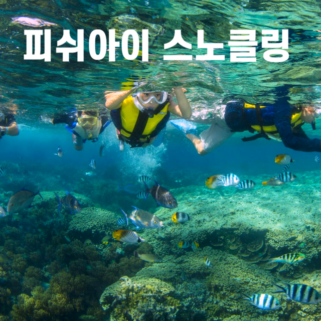 괌셀프바베큐 바크닉 바베큐장비대여