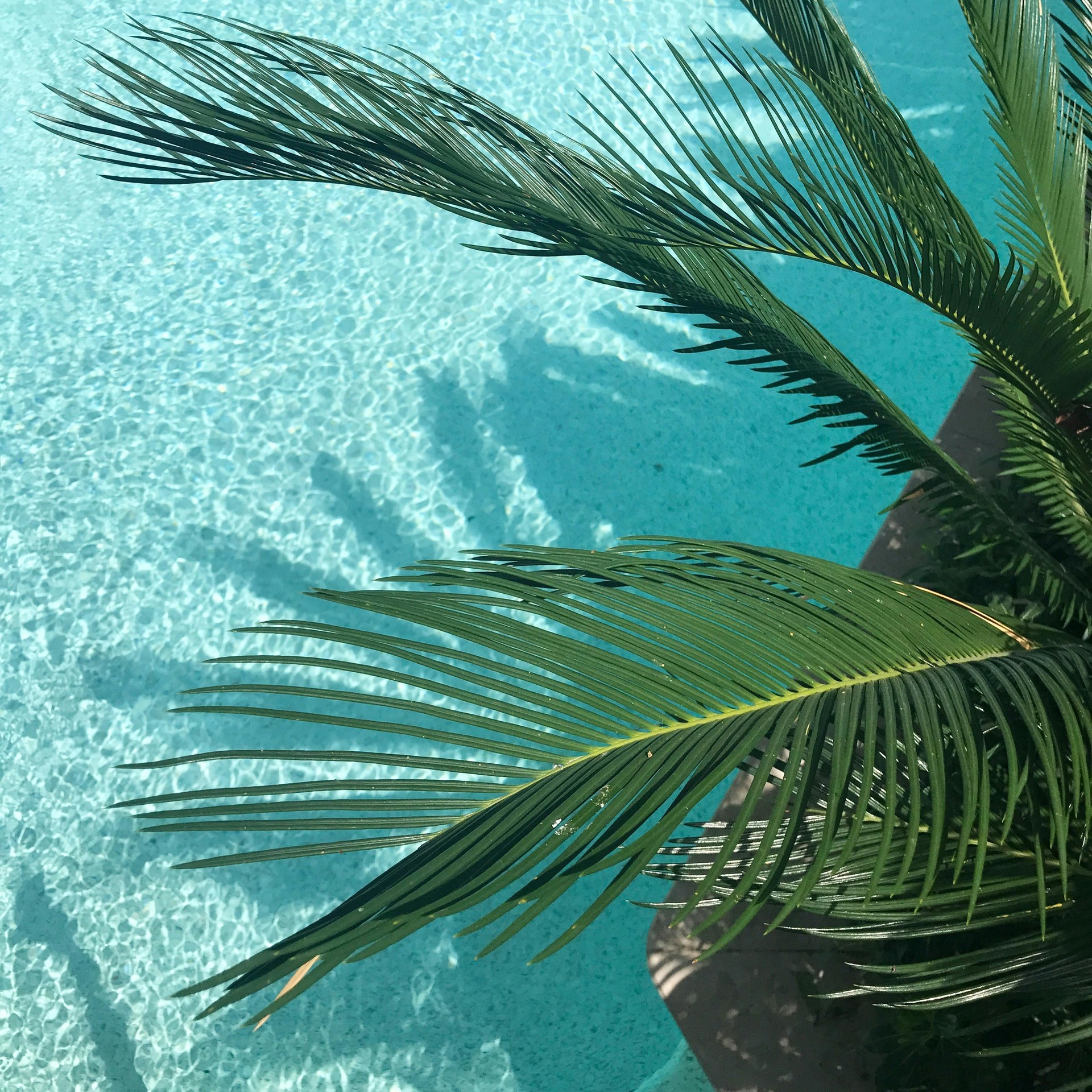 mobile background