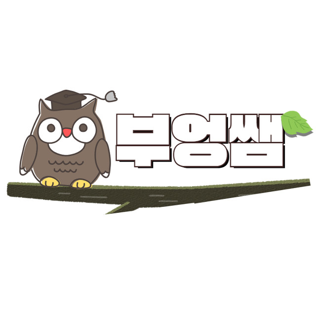 부엉쌤