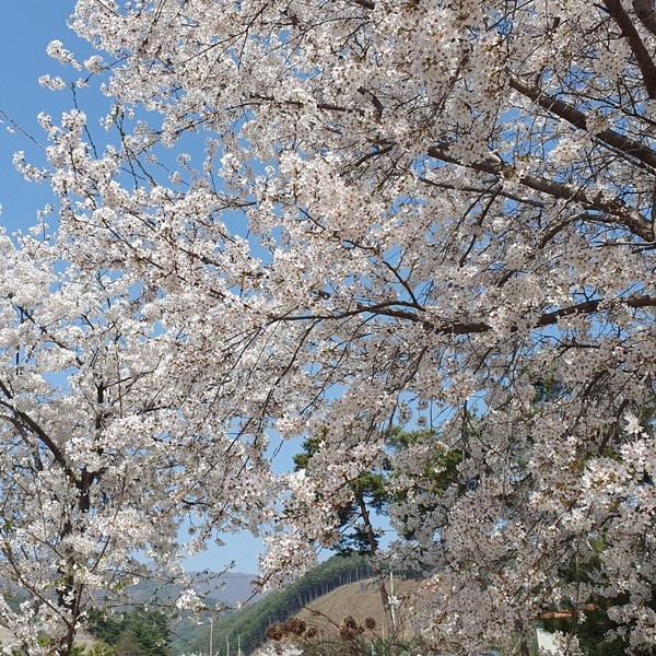 예약 상품 이미지