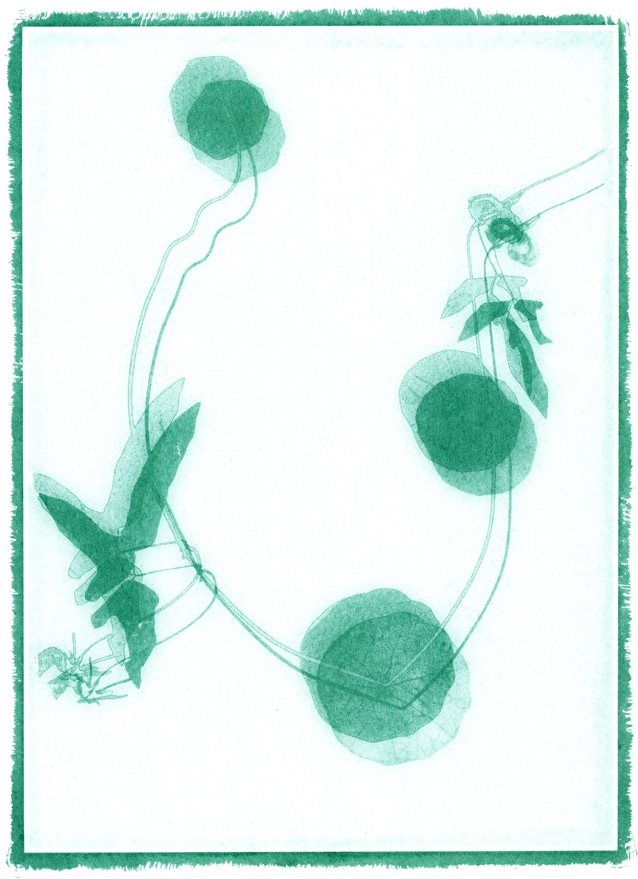 Line of Nature,#06,Gum Bichromate Print,2021,40x60