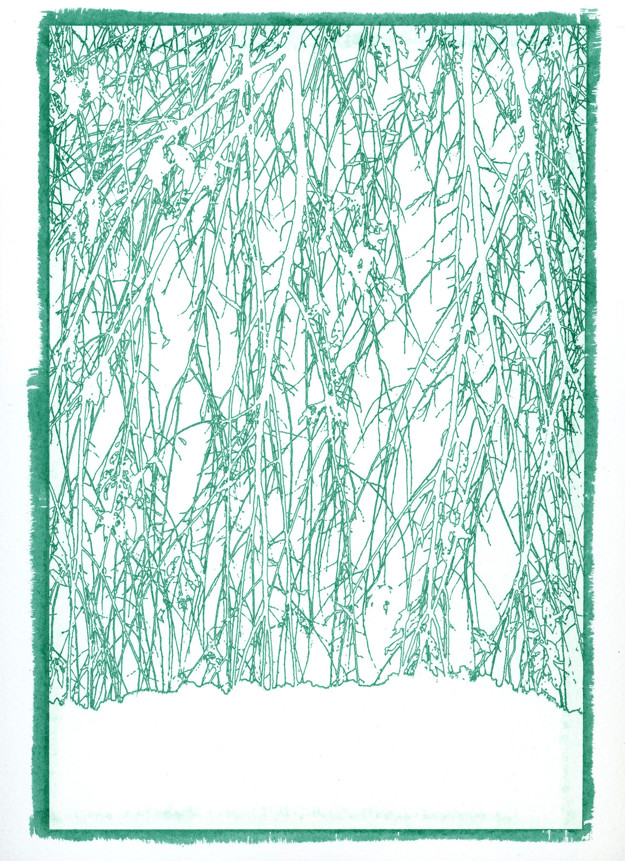 Line of Nature,#03,Gum Bichromate Print,2021,39x59