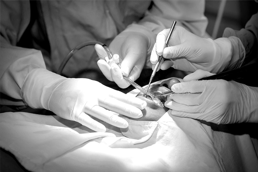 남천동-광안리치과-유엘치과-신경치료-원장진료