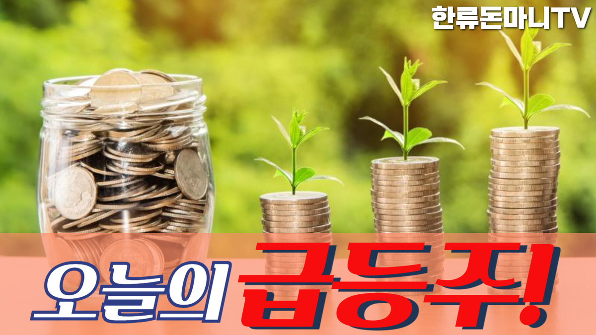 04월 24일 오늘의 급등주 : 돈마니스쿨