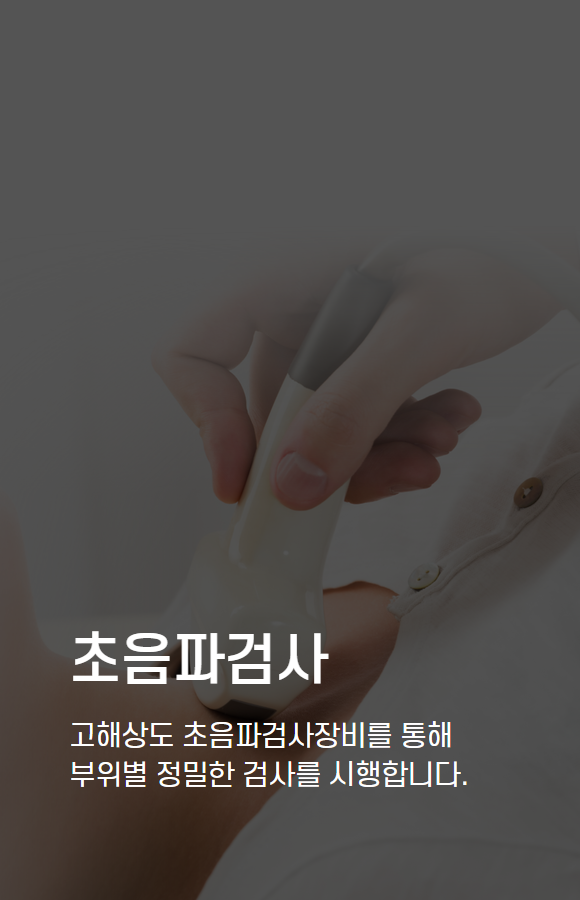 <p style="text-align:left; font-size:16px; margin-top:26px;">VITAE TELLUS IN<br><span style="color:#666;">₩ 80,000</span></p>