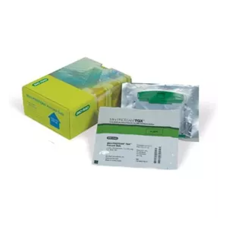 12% Mini-PROTEAN® TGX™ Precast Protein Gels, 15-well : Saintone(주)