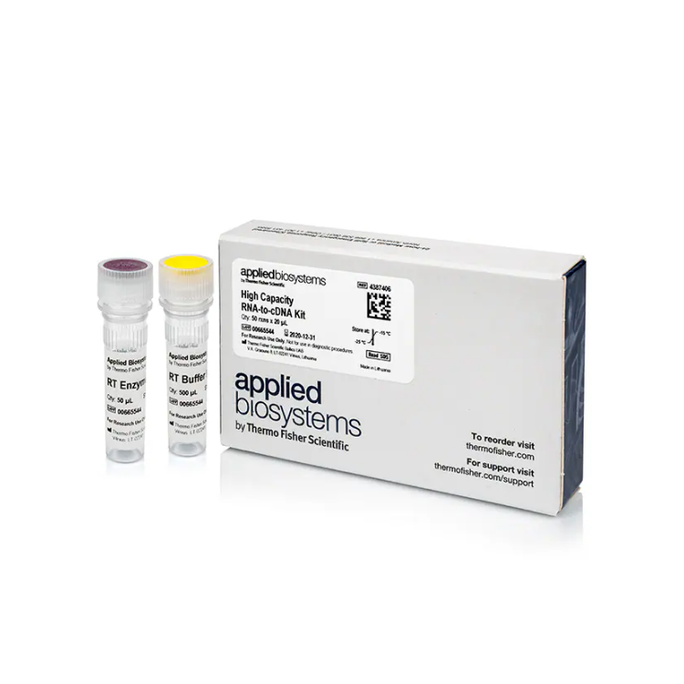 FG,RNA TO CDNA EACH : Saintone(주)