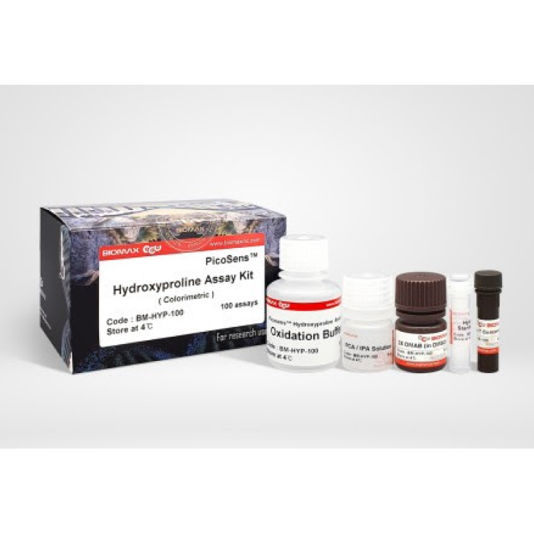 PicoSens™ Hydroxyproline Assay Kit (Colorimetric) [100 assays ...