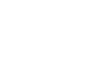 웰스위치파트너스